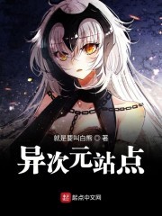 异次元站点封面