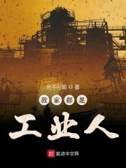 我家都是工业人封面