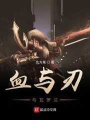血与刃与瓦罗兰封面