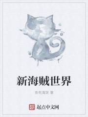新海贼世界封面