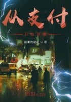 从支付开始逆袭封面