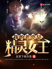 我的老婆是精灵女王封面