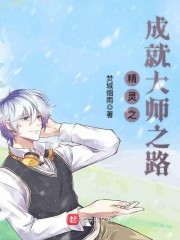 精灵之成就大师之路封面