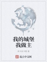 我的城堡我做主封面