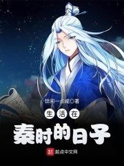 生活在秦时的日子封面