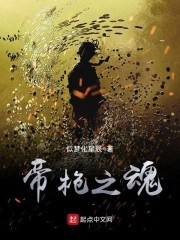 帝枪之魂封面