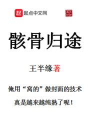 骸骨归途封面
