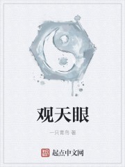 观天眼封面