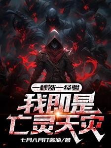 一秒涨一经验,我即是亡灵天灾封面