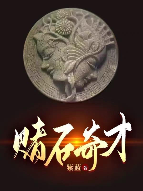 赌石奇才封面