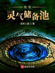 我有灵气储备池封面