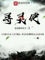 寻灵使封面