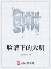 脸谱下的大明封面