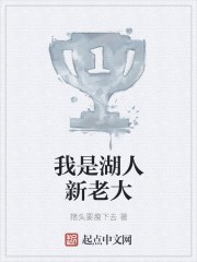 我是湖人新老大封面