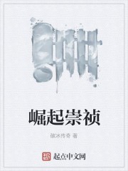 崛起崇祯封面