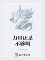 力量还是不够啊封面