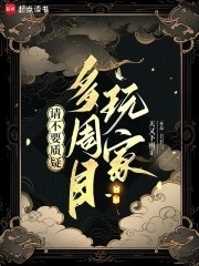 请不要质疑多周目玩家封面