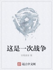 这是一次战争封面