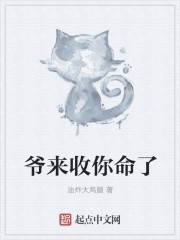 爷来收你命了封面