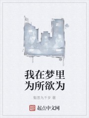 我在梦里为所欲为封面