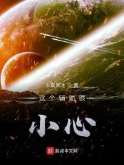 这个辅助很小心封面
