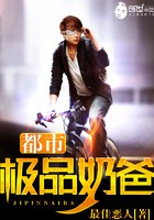 都市极品奶爸封面