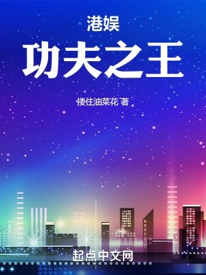 港娱:功夫之王封面