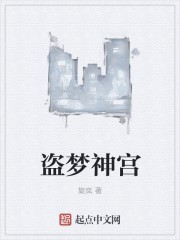 盗梦神宫封面