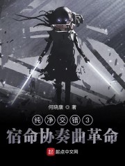 纯净交错III宿命协奏曲革命封面