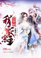 我家宗主是赘婿封面