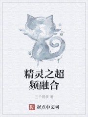 精灵之超频融合封面