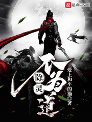 除灵不为道封面