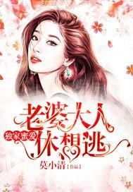 超暖总裁爱不够封面