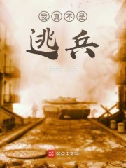 我真不是逃兵封面