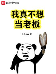 我真不想当老板封面