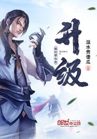 我的拳头会升级封面