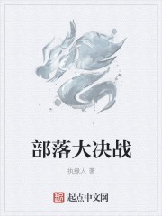 部落大决战封面