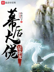 幕后大佬是条龙封面