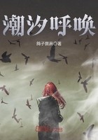 潮汐呼唤封面
