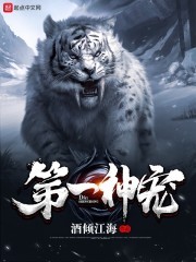 第一神宠封面