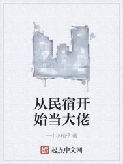 从民宿开始当大佬封面