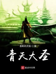 青天大圣封面