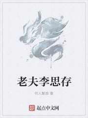 老夫李思存封面