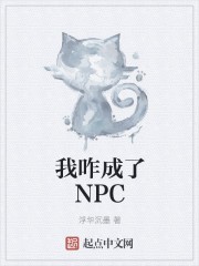 我咋成了NPC封面