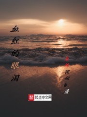 血红的眼泪封面