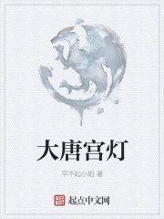 大唐宫灯封面
