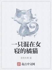 一只混在女寝的橘猫封面