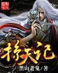 掠天记封面