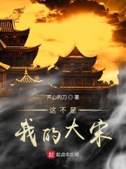 这不是我的大宋封面