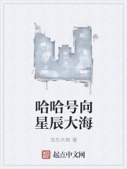 哈哈号向星辰大海封面